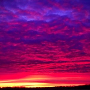 Meet your Posher, Sue